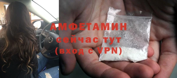 молекула духа Алексеевка