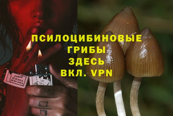 jwh Алзамай