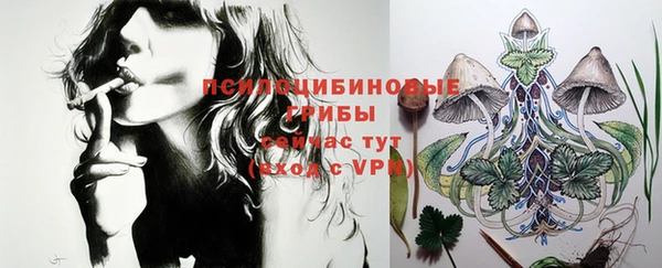 молекула духа Алексеевка