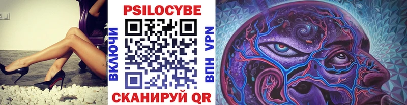 цены наркотик  Шадринск  Псилоцибиновые грибы мухоморы 